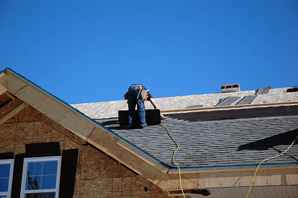 Best Roof Gutter Cleaning  in Taylor Creek, FL