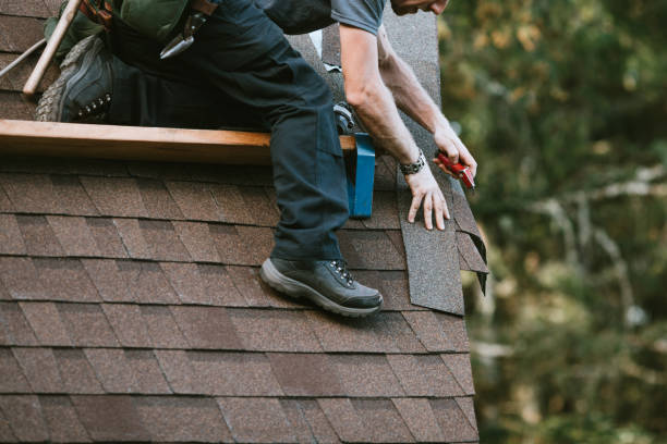 Best Shingle Roofing Installation  in Taylor Creek, FL